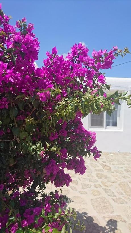 Blue Waves Mykonos