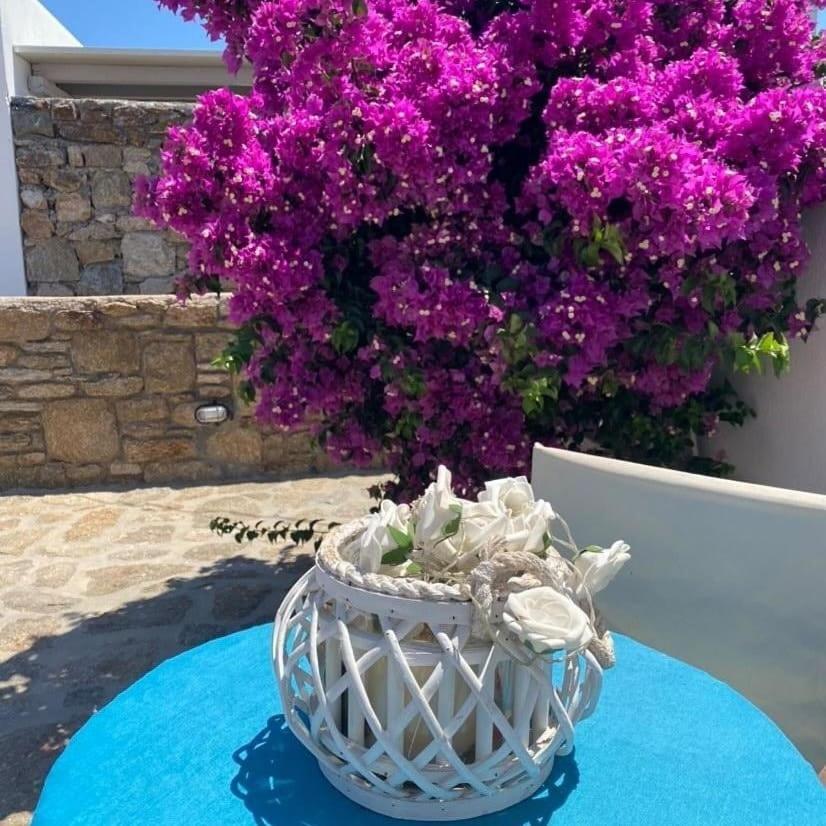 Blue Waves Mykonos Holiday home *