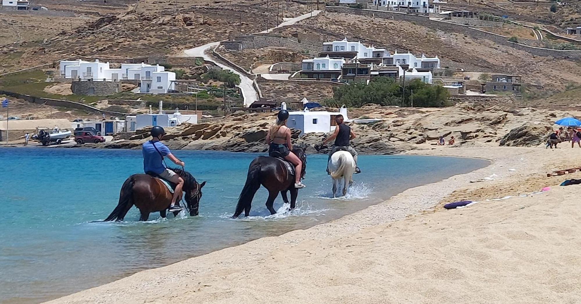 Holiday home Blue Waves Mykonos Kalo Livadi